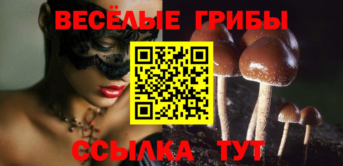 Псилоцибиновые грибы Magic Shrooms  Галлюциногенные грибы мухоморы  Туапсе  Вход с VPN 